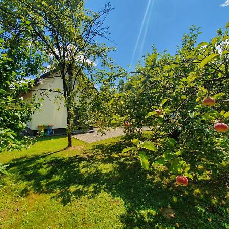 Tetmajera View & Garden Villa Debica  Ngoại thất bức ảnh